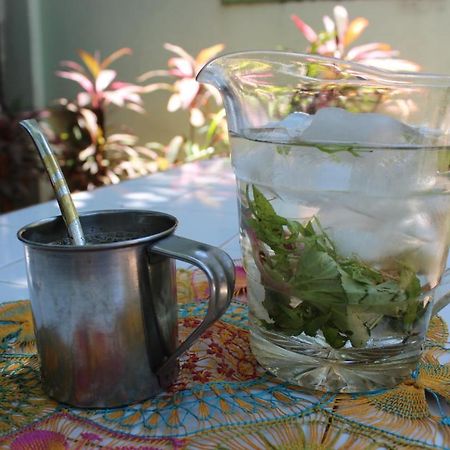 Hamaca Paraguaya Hostel 아순시온 외부 사진