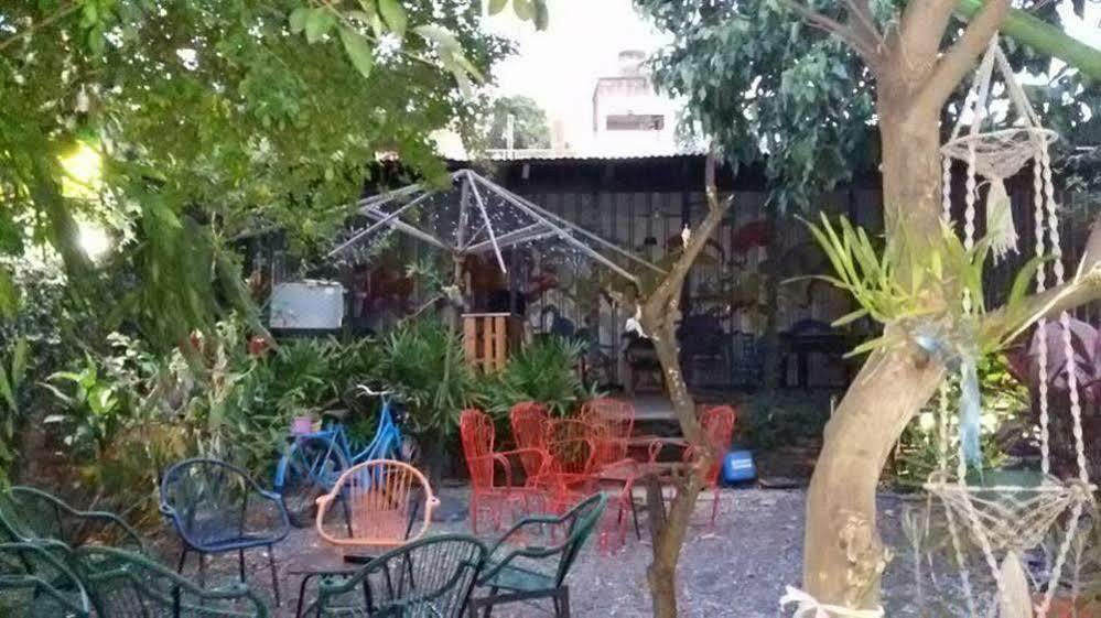 Hamaca Paraguaya Hostel 아순시온 외부 사진